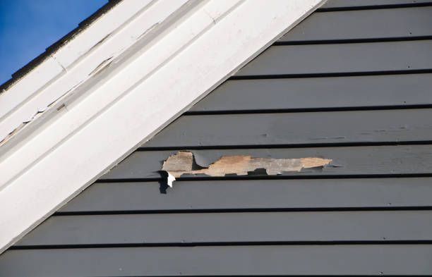 Best Hoarding Cleanup  in Huachuca City, AZ